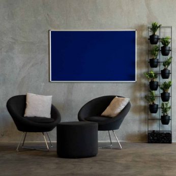 Standard Feltboard Royal Blue on wall with furniture and plants