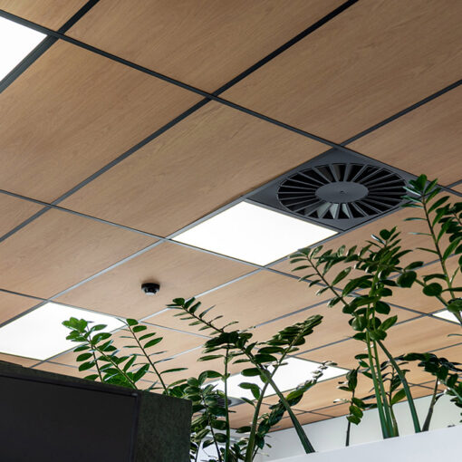 Autex Acoustic Timber Ceiling Tiles