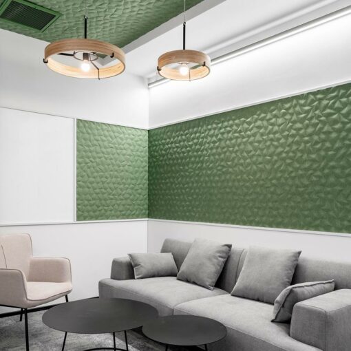 Ion acoustic panels in situ lounge room